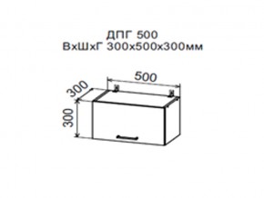 Шкаф верхний ДПГ500 горизонтальный в Верхней Салде - verhnyaya-salda.магазин96.com | фото