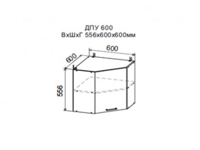 Шкаф верхний ДПУ600 угловой в Верхней Салде - verhnyaya-salda.магазин96.com | фото